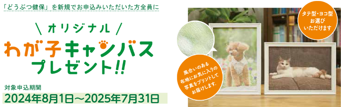 わが子キャンバスプレゼント！！