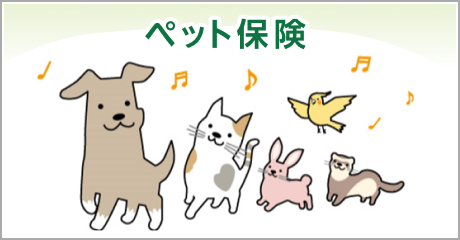 ペット保険