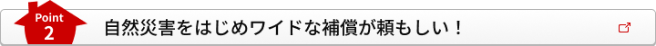 Point2 自然災害をはじめワイドな補償が頼もしい！